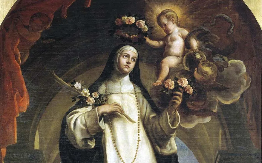 rosa Santa Rosa